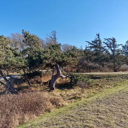 Goldblick Fehmarn