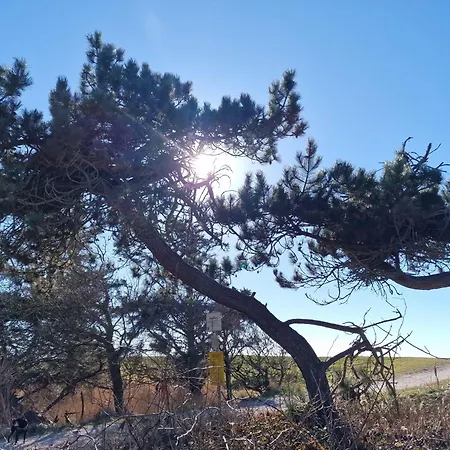 Haus-fehmarn-am-dorfteich-|-wohnung-2-west