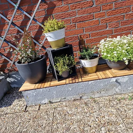 Haus-albertsdorf-am-dorfteich-|-wohnung-2-west Apartment Fehmarn