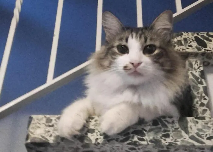 Haus-fehmarn-am-dorfteich-|-wohnung-2-west Lägenhet *