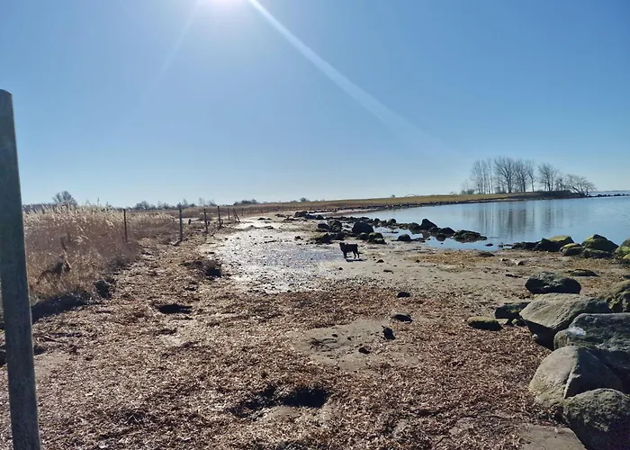 Lägenhet Haus-fehmarn-am-dorfteich-|-wohnung-2-west *