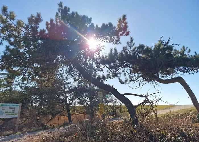 Haus-fehmarn-am-dorfteich-|-wohnung-2-west * Fehmarn