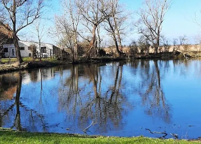 Haus-fehmarn-am-dorfteich-|-wohnung-2-west