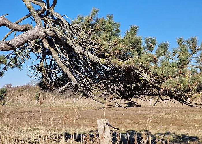 Haus-fehmarn-am-dorfteich-|-wohnung-2-west *