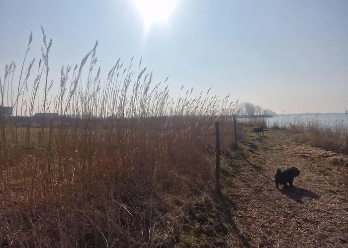 Haus-fehmarn-am-dorfteich-|-wohnung-2-west Lägenhet *