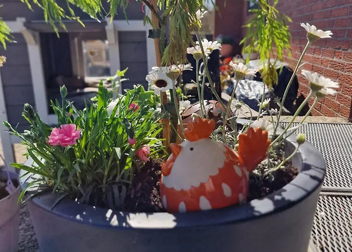 Haus-fehmarn-am-dorfteich-|-wohnung-2-west